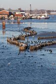 View of Kappeln sea with fence in winter, Germany