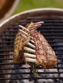 Rack of lamb with herbs on grill