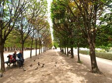 People sitting in garden of Palais-Royal, Paris, France