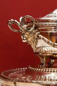 Close-up of silver tureen in Maximilian Museum, Augsburg, Germany