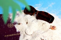 Sonnenbrille und Reisepass mit Palme im Sand