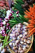 Different types of garlic in basket