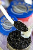 Close-up of caviar on spoon