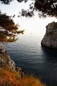 Coastal bay behind the Fort Lovrijenac in Croatia