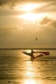 Man kiting on beach of St. Peter Ording, Germany, backlit