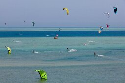 Kites flying over Red sea El Gouna, Egypt