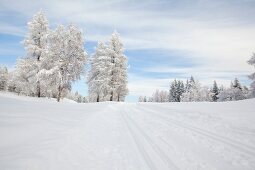 Winterlandschaft, Leutaschtal