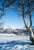 View of snows cape at Hemsedal ski resort in Norway