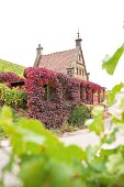 View of vineyard cottage, Schlossle, Nordheimer castle