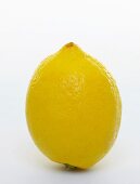 Whole lemon against white background
