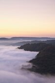 View of Saar loop in Mettlach, Saarland, Germany