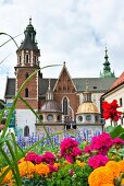 View of Wawel Royal Castle through flowers in Krakow, Poland