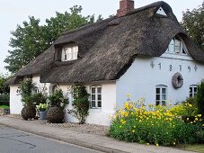 Old house with thatched roof and yellow flowers on side