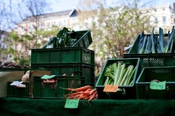 Green groceries in Chamissoplatz, Kreuzberg, Berlin