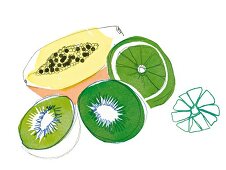 Obst, Kiwi, Papaya, Limetten, Vitamin-C-Power