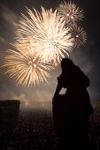 View of Mr. Hausen statue and Chinese fireworks in Royal Gardens, Hannover, Germany