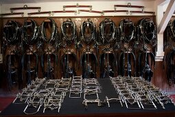 Bridles hanged on hooks at State Stud Celle, Lower Saxony, Germany