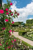 Roses and gazebo in Royal Gardens at Herrenhausen Palace, Hannover, Germany