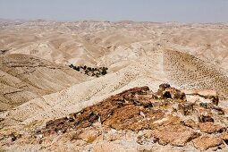 View of rolling landscape at Wadi Qelt in Judean Desert, Israel