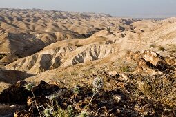 Israel, Judäische Wüste, Wadi Qelt, Westjordanland