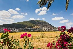 View of Mount Tabor and Jesus Trail in Jezreel Valley, Israel