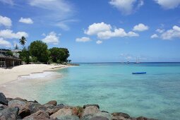 View of Lesser Antilles island at Caribbean, Barbados