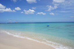 View of Lesser Antilles island at Caribbean, Barbados