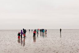 People enjoying on beach