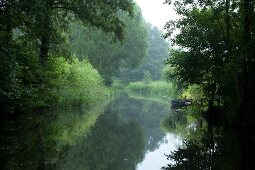 Spreewald, Spree, Wald, Bäume, Fluss Urwald, grün, gruen, Idylle, Ruhe