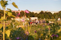 People in Tempelhof garden, Berlin, Germany