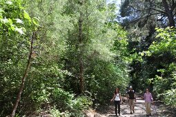 Türkei, Türkische Ägäis, Halbinsel Dilek, Nationalpark, Wanderweg