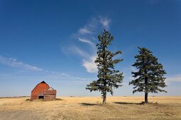 View of farmer's house, Saskatchewan, Canada