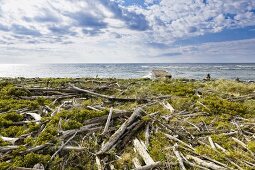 Kanada, Kap-Breton-Insel, ehemaliger Hafen La Bloque am Cap Rouge