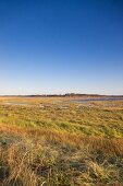 View of field in Brackley-Dalvay, Prince Edward Island National Park, Canada