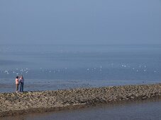 People standing near Wadden sea at Neuharlingersiel, Lower Saxony, Germany