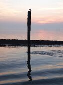 Niedersachsen, Fahrt von Spiekeroog nach Neuharlingersiel, Meer