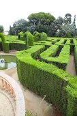 Barcelona, Parc del Laberint, Labyrinth, grüne Hecke