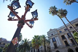 View of palm trees and lantern at Placa Reial in Barcelona, Spain, Low angle view