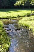 Bach, Fluß, Fluss in Naurath OT Wald, nahe Landhaus St. Urban