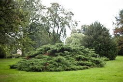 Schlosspark, Wendlinghauser Park, Schloss Wendlinghausen