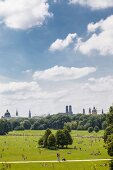 Deutschland, München, Sonnenbaden im Englischer Garten. 