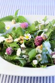 Stinging nettle salad with pine nuts and edible flowers