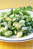 Cucumber and ground elder salad with Apple