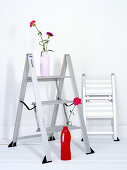 Aluminium ladders and a vase of flowers