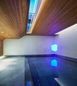 Swimming pool in modern house with partially wood-panelled walls and ceiling with skylight