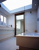 Light, modern bathroom with enormous skylight above floor to ceiling, wood-framed mirror