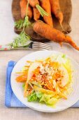 Raw carrots with pears and endive lettuce