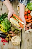 Hands holding corn cobs, carrots and spring onions