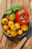 Rote und gelbe Tomaten mit Basilikum