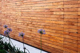 Texturdetail einer Gebäudefassade mit horizontaler Holzlattung